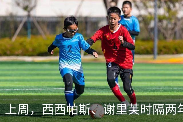 上周，西西帕斯、谢里芙时隔两年再夺冠，其他夺冠选手皆迎突破