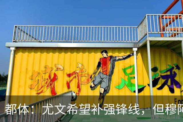 都体：尤文希望补强锋线，但穆阿尼和佩莱格里诺只能二选一